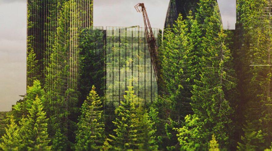 foro de las cidades de madrid